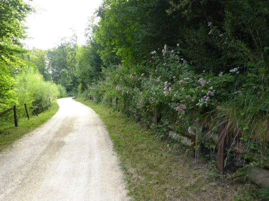 chalet-a-gobet-clochatte-141