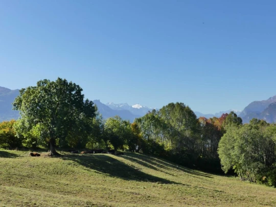 chandolin-binii-grimisuat-136