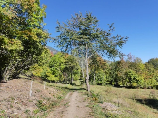 chandolin-binii-grimisuat-153