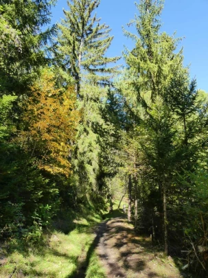 chandolin-binii-grimisuat-160