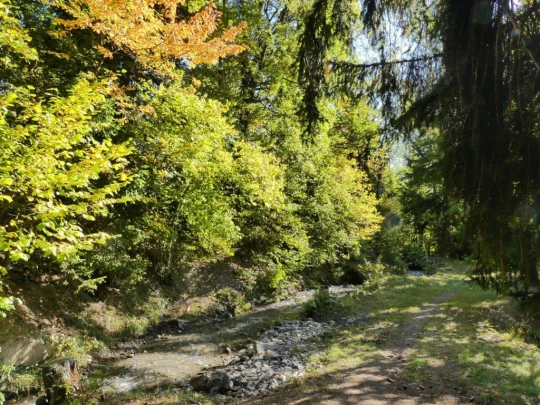 chandolin-binii-grimisuat-178