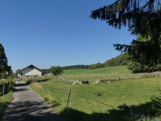 charbonnieres-orzeires-grottes-vallorbe-108