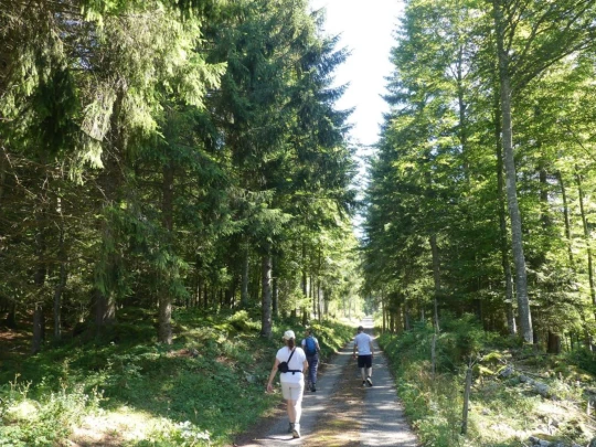 charbonnieres-orzeires-grottes-vallorbe-109