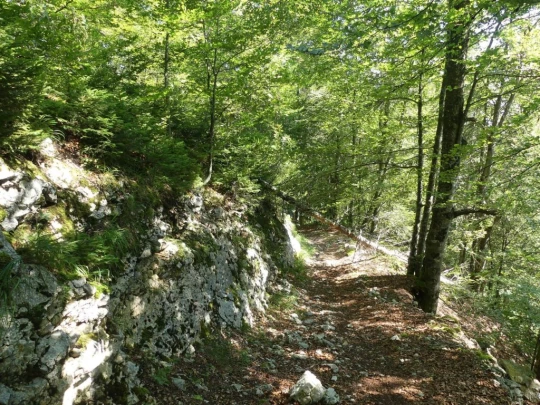 charbonnieres-orzeires-grottes-vallorbe-123