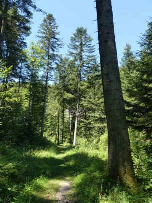 charbonnieres-orzeires-grottes-vallorbe-147