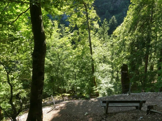 charbonnieres-orzeires-grottes-vallorbe-152