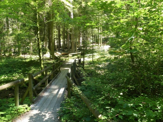 charbonnieres-orzeires-grottes-vallorbe-162