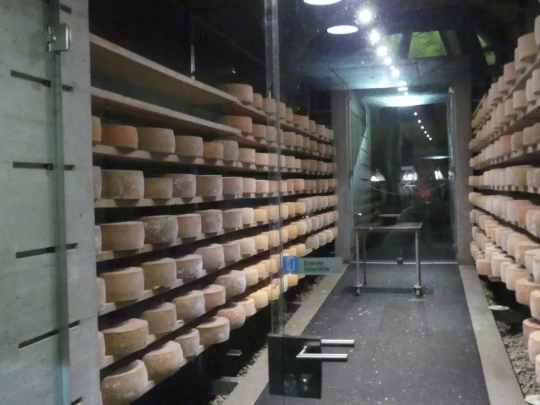 charbonnieres-orzeires-grottes-vallorbe-177