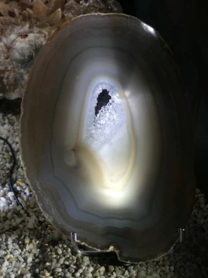 charbonnieres-orzeires-grottes-vallorbe-196