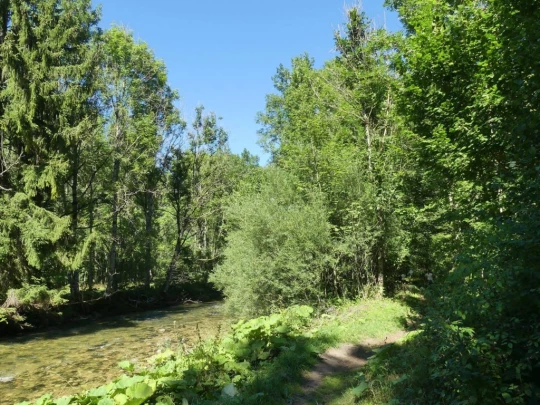 charbonnieres-orzeires-grottes-vallorbe-253