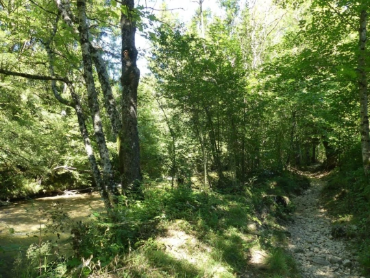 charbonnieres-orzeires-grottes-vallorbe-255