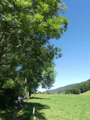 charbonnieres-orzeires-grottes-vallorbe-260