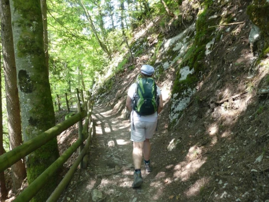 charmey-lac-montsalvens-charmey-114