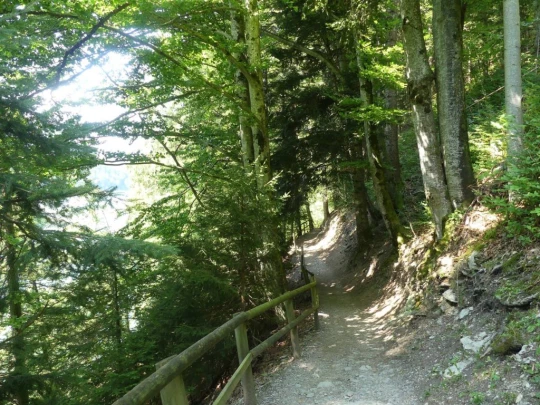 charmey-lac-montsalvens-charmey-118