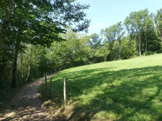 charmey-lac-montsalvens-charmey-123