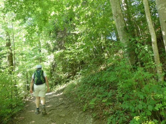 charmey-lac-montsalvens-charmey-126