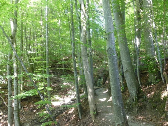 charmey-lac-montsalvens-charmey-128