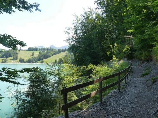 charmey-lac-montsalvens-charmey-139