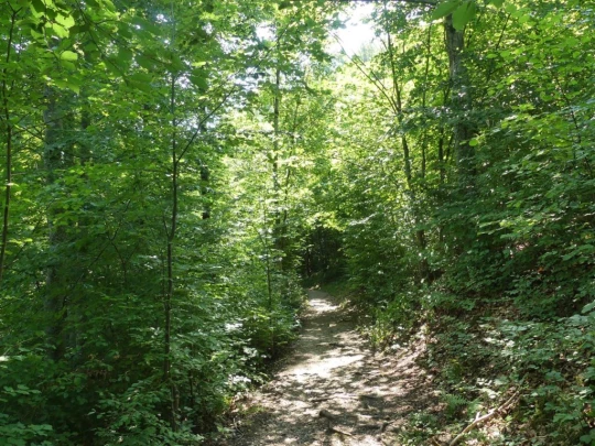 charmey-lac-montsalvens-charmey-141