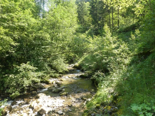 charmey-lac-montsalvens-charmey-148