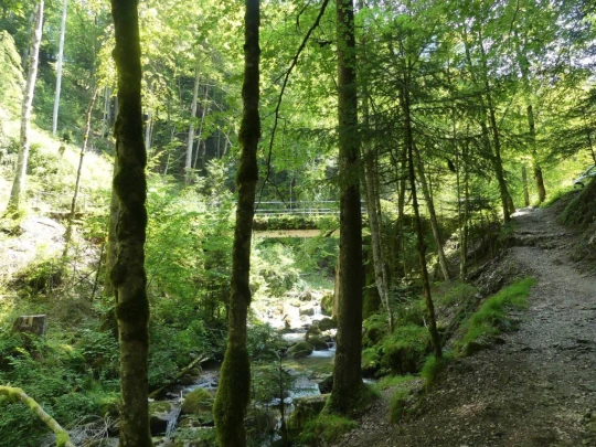 charmey-lac-montsalvens-charmey-154