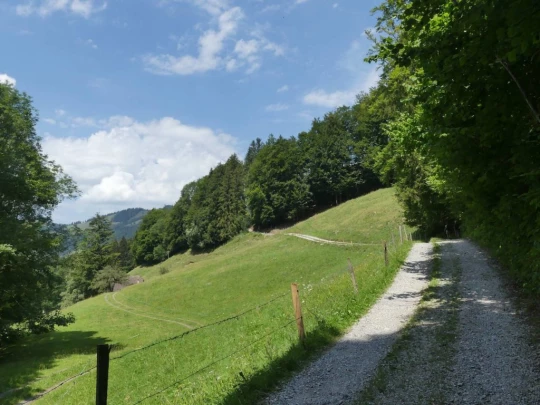 charmey-lac-montsalvens-charmey-158