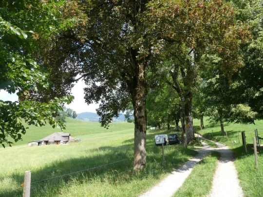 charmey-lac-montsalvens-charmey-161