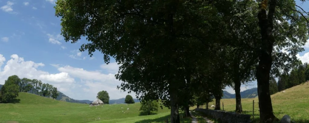 charmey-lac-montsalvens-charmey-165