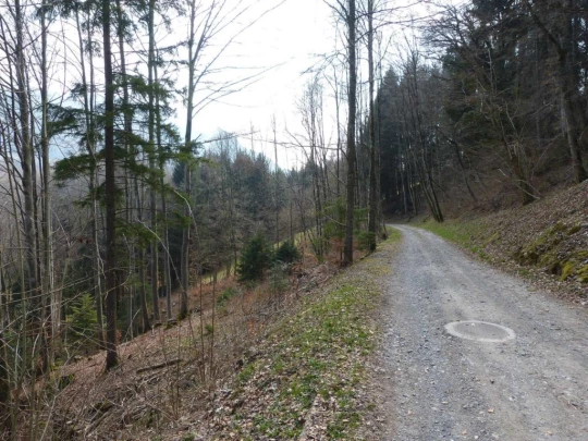 Châtel St-Denis Les Chaux Moille-Saulaz Grenive Nant Vevey