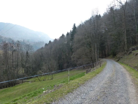 Châtel St-Denis Les Chaux Moille-Saulaz Grenive Nant Vevey