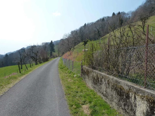Châtel St-Denis Les Chaux Moille-Saulaz Grenive Nant Vevey