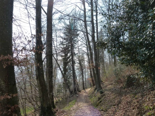 Châtel St-Denis Les Chaux Moille-Saulaz Grenive Nant Vevey