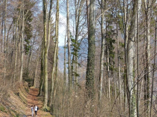 Châtel St-Denis Les Chaux Moille-Saulaz Grenive Nant Vevey