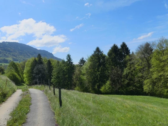 chatel-st-denis-vieux-chatel-vevey-106
