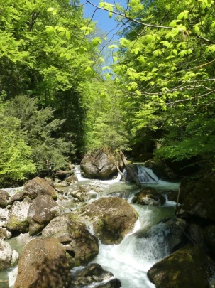 chatel-st-denis-vieux-chatel-vevey-131