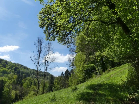 chatel-st-denis-vieux-chatel-vevey-135