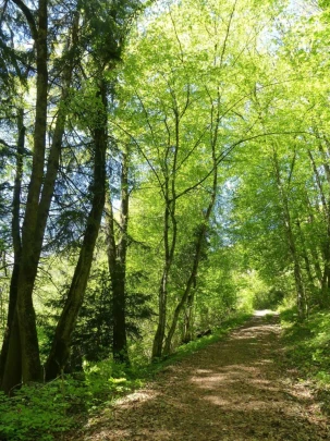 chatel-st-denis-vieux-chatel-vevey-136