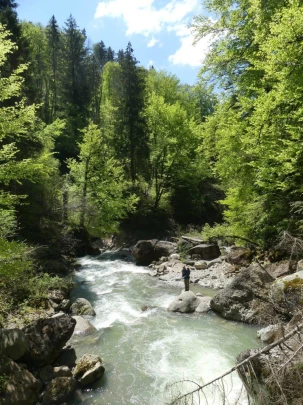 chatel-st-denis-vieux-chatel-vevey-148