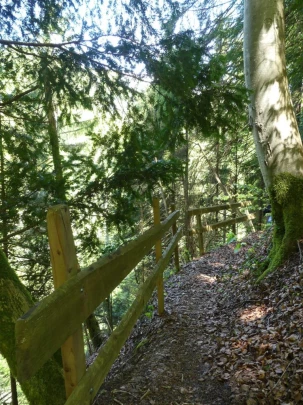 chatel-st-denis-vieux-chatel-vevey-156