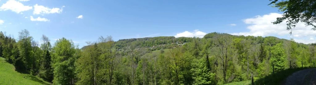 chatel-st-denis-vieux-chatel-vevey-165
