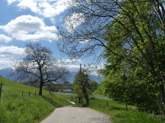 chatel-st-denis-vieux-chatel-vevey-170