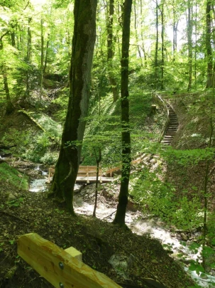 chatel-st-denis-vieux-chatel-vevey-176