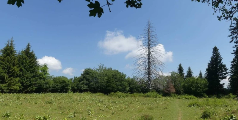 chaumont-enges-st-blaise-125