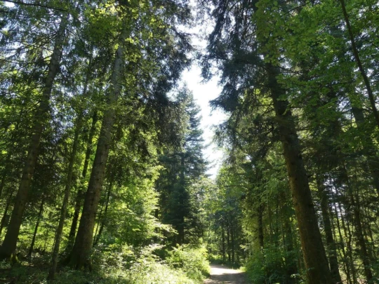 chaumont-enges-st-blaise-135