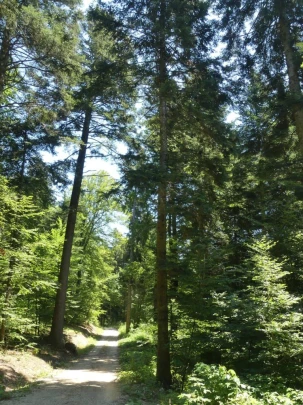 chaumont-enges-st-blaise-141