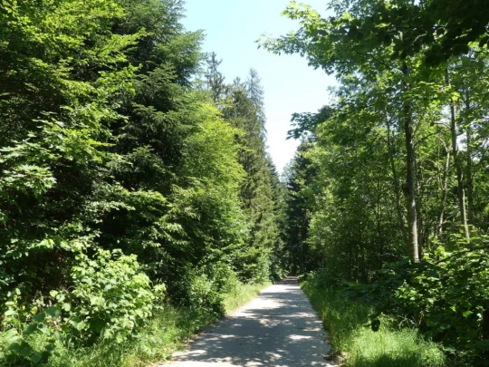 chaumont-enges-st-blaise-145