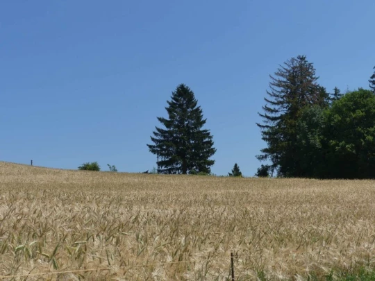 chaumont-enges-st-blaise-166