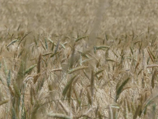 chaumont-enges-st-blaise-167