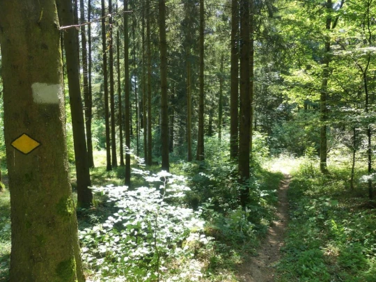 chaumont-enges-st-blaise-176