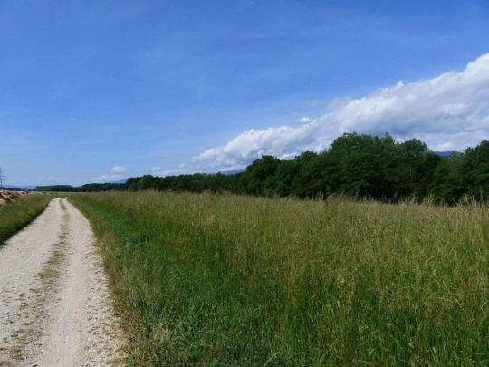 chavannes-de-bogis-versoix-101